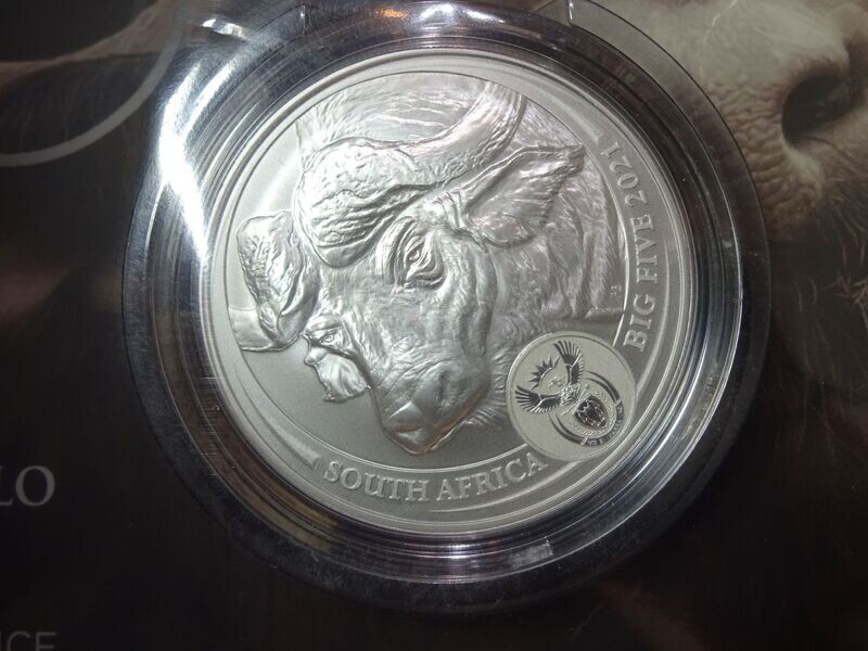 Silbermünze Südafrika 2021 5 Rand The Big Five Büffel Buffalo Blister 1 Oz Unze