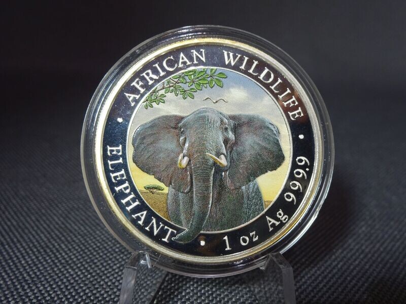Silbermünze Somalia Elefant 2021 100 Shillings African Wildlife Farbe 1 Oz Unze Silbermünze Somalia Elefant 2021 100 Shillings African Wildlife Farbe 1 Oz Unze