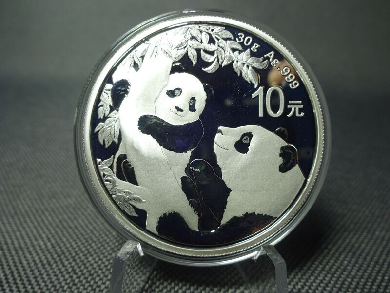 Silbermünze China Panda 2021 10 Yuan 30 g