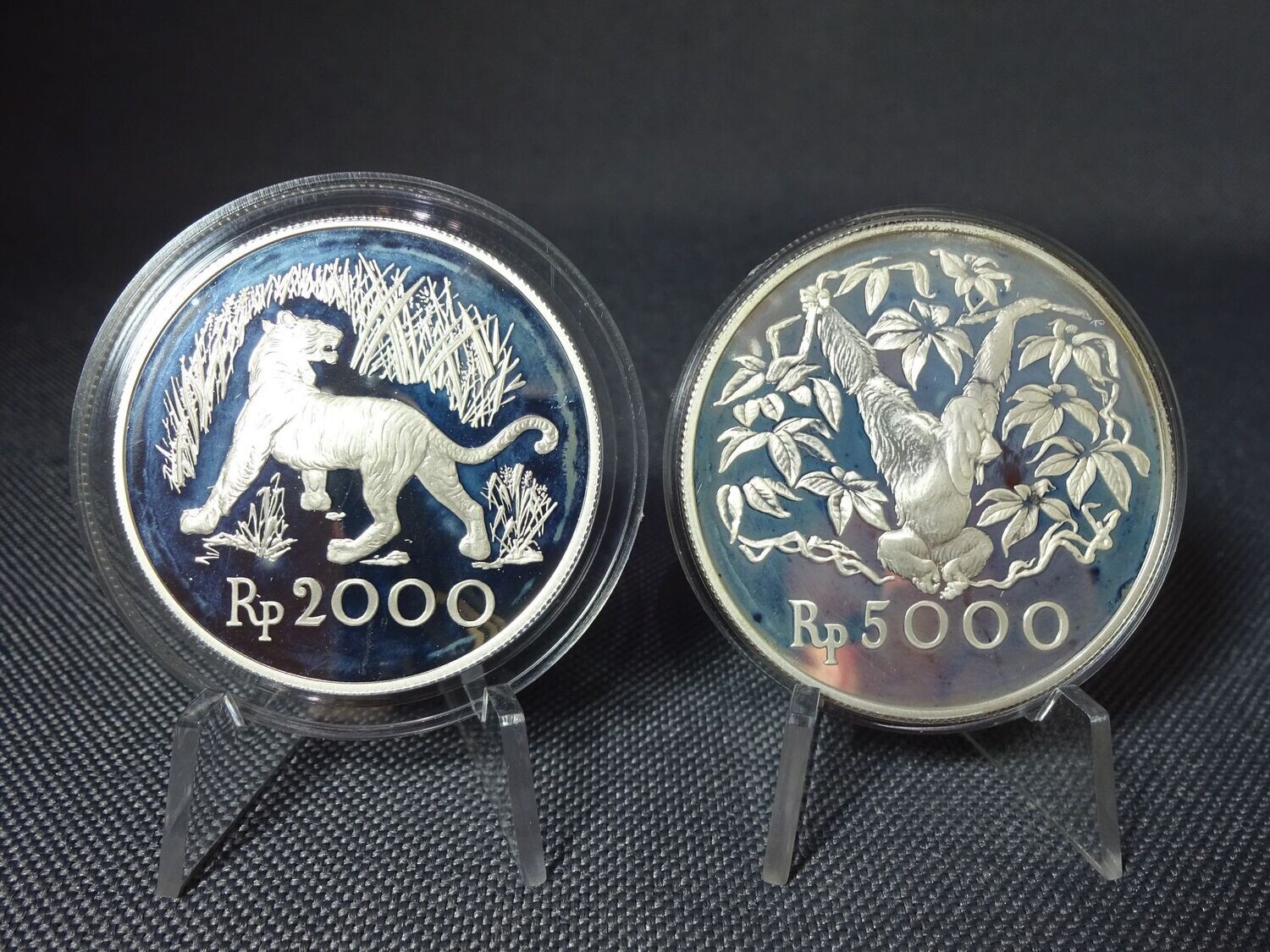 Silbermünzen-Set Indonesien 1974 2000 & 5000 Rupiah Java Tiger Orang Utan Naturschutz Wildlife WWF PP Proof