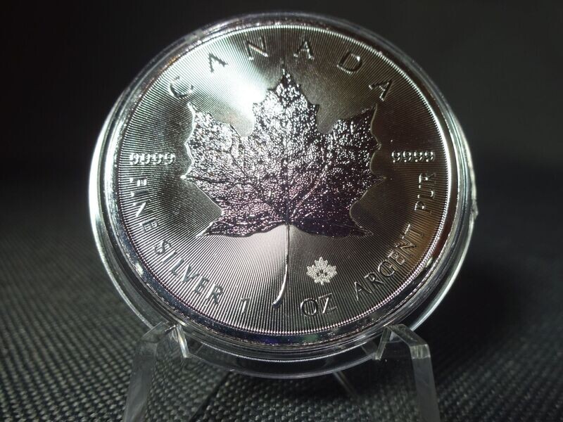 Silbermünze Kanada 2020 5 Dollars Maple Leaf 1 Oz Unze Silbermünze Kanada 2020 5 Dollars Maple Leaf 1 Oz Unze