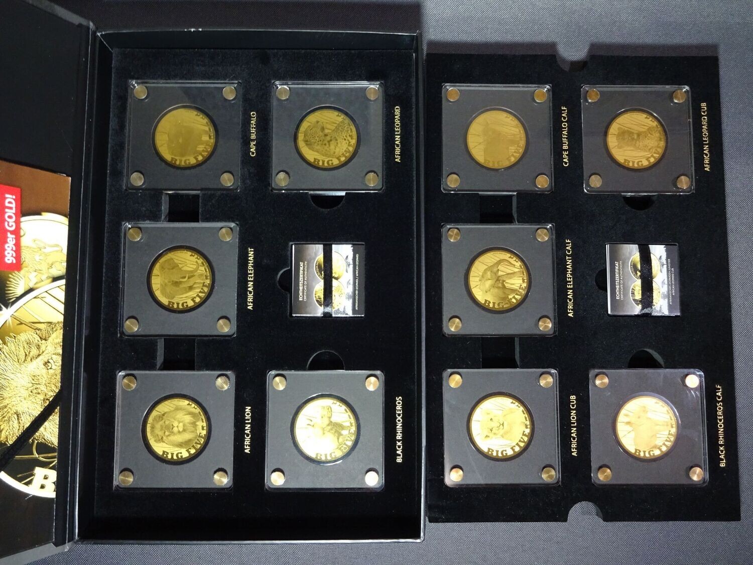 Goldmünzen-Set Tschad 2020 Big Five South Africa Junge Baby Elefant Büffel Löwe Nashorn Leopard 10x 1/200 Oz Unze Goldmünzen-Set Tschad 2020 Big Five South Africa Junge Baby Elefant Büffel Löwe Nashorn Leopard 10x 1/200 Oz Unze