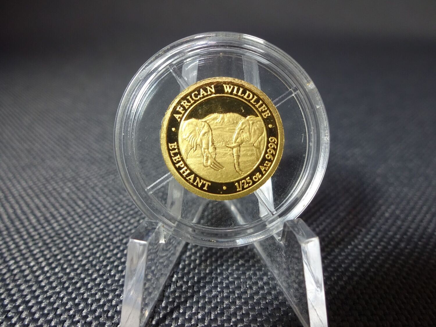 Goldmünze Somalia Elefant 2020 50 Shillings African Wildlife 1/25 Oz Unze Goldmünze Somalia Elefant 2020 50 Shillings African Wildlife 1/25 Oz Unze