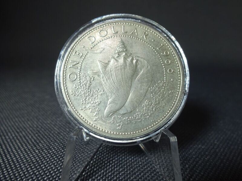 Silbermünze Bahamas 1966 1 Dollar Muschel (2.)