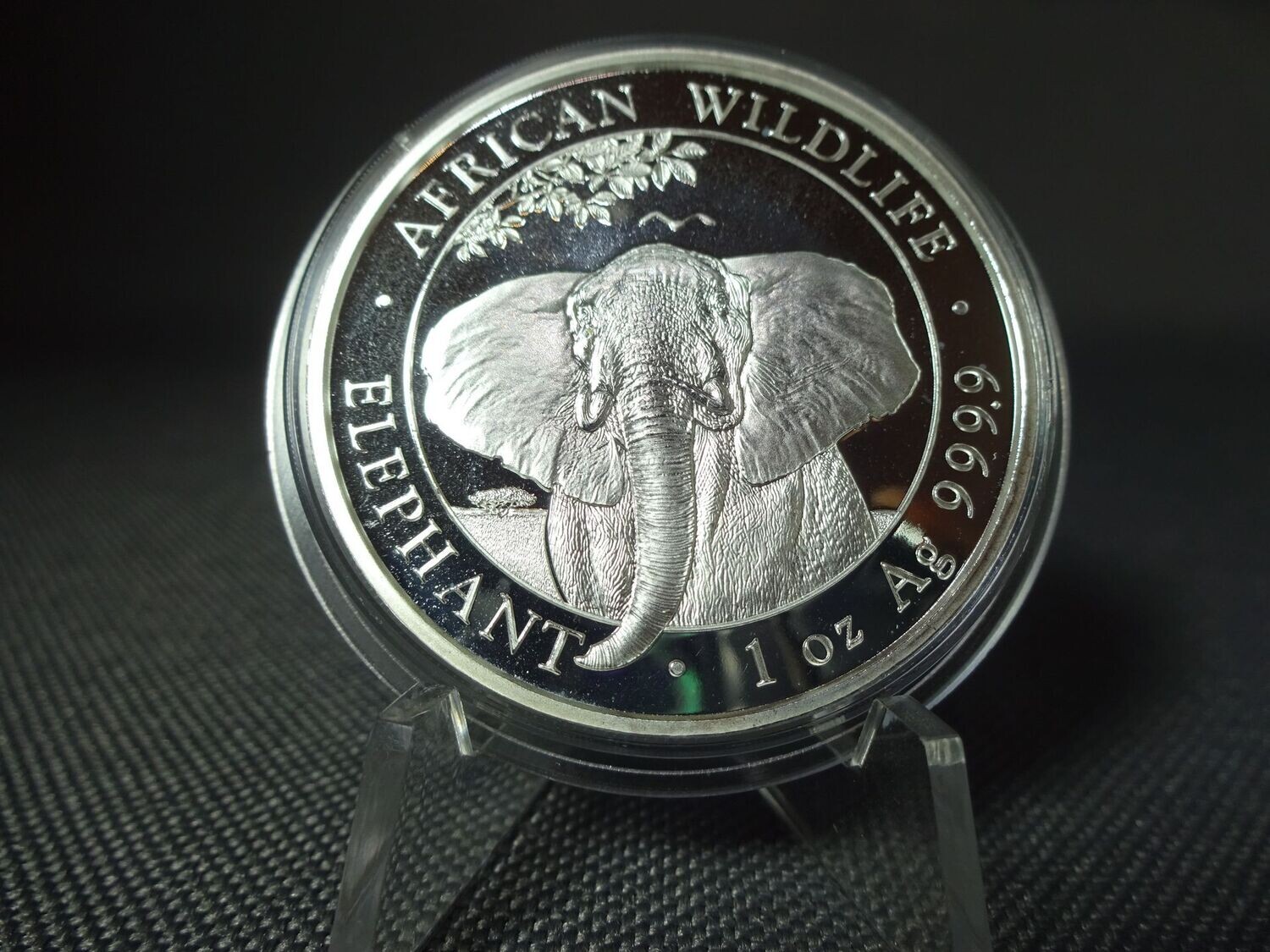 Silbermünze Somalia Elefant 2021 100 Shillings African Wildlife 1 Oz Unze