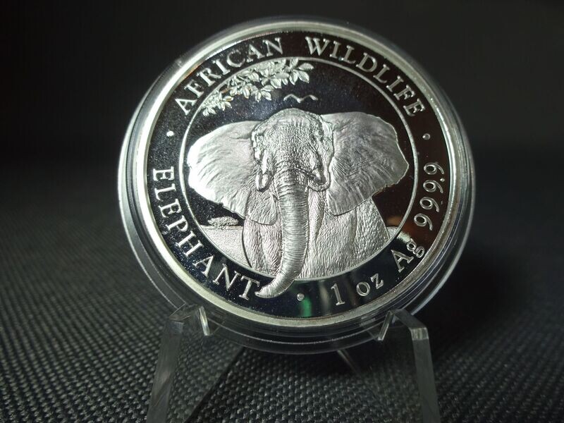 Silbermünze Somalia Elefant 2021 100 Shillings African Wildlife 1 Oz Unze Silbermünze Somalia Elefant 2021 100 Shillings African Wildlife 1 Oz Unze