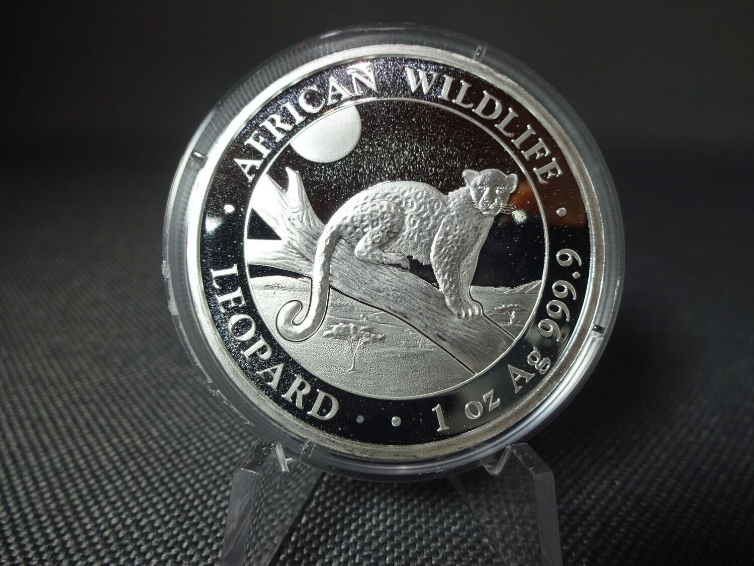 Silbermünze Somalia Leopard 2021 100 Shillings African Wildlife 1 Oz Unze