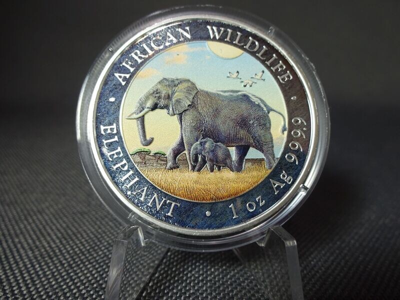 Silbermünze Somalia Elefant 2022 100 Shillings Farbe 1 Oz Unze Silbermünze Somalia Elefant 2022 100 Shillings Farbe 1 Oz Unze