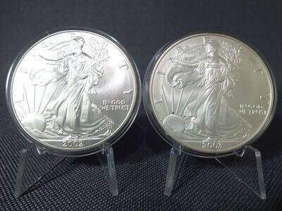 Silbermünzen Set USA 2002 & 2003 1 Dollar American Silver Eagle Walking Liberty 1 Oz Unze