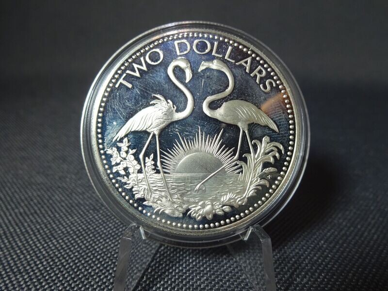 Silbermünze Bahamas 1975 2 Dollars Flamingos Vogel Sonne PP Proof