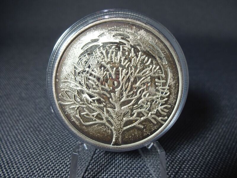 Silbermünze Israel 2004 2 Schekel Burning Bush Busch PP Proof Selten
