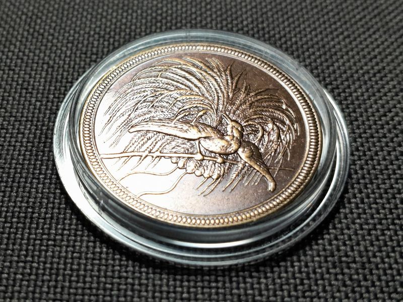 Münze Nebengebiete Deutsch Neu Guinea 1894 10 Pfennig Paradiesvogel