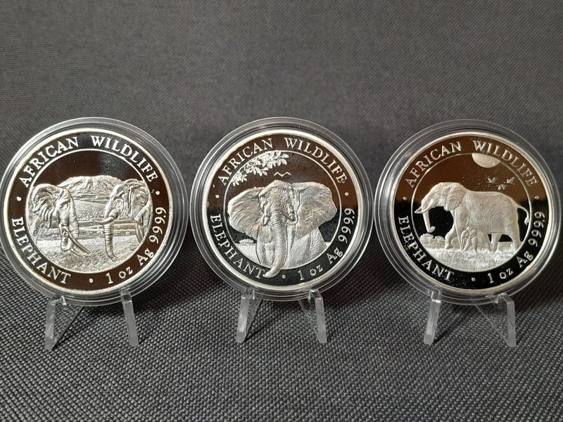 Silbermünzen Set Somalia Elefant 2020 2021 2022 100 Shillings African Wildlife 1 Oz Unze Silbermünzen Set Somalia Elefant 2020 2021 2022 100 Shillings African Wildlife 1 Oz Unze