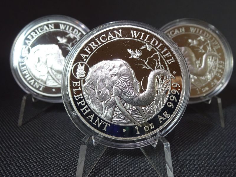 Silbermünze Somalia Elefant 2018 100 Shillings African Wildlife Privy Mark Hund 1 Oz Unze Silbermünze Somalia Elefant 2018 100 Shillings African Wildlife Privy Mark Hund 1 Oz Unze