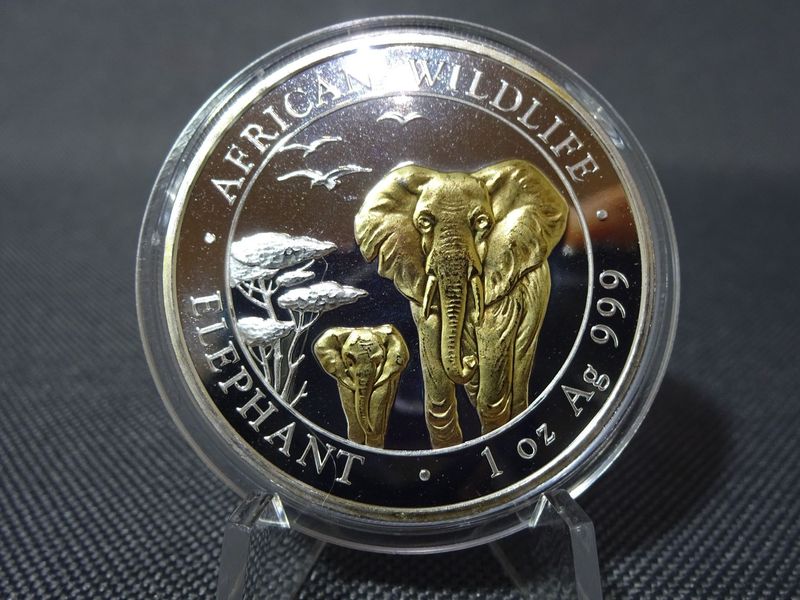 Silbermünze Somalia Elefant 2015 100 Shillings African Wildlife Gilded 1 Oz Unze Silbermünze Somalia Elefant 2015 100 Shillings African Wildlife Gilded 1 Oz Unze
