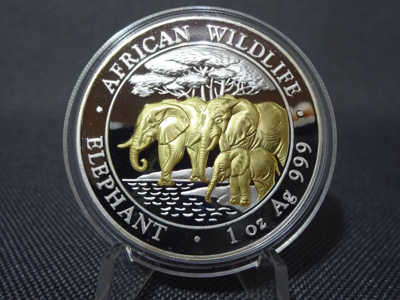 Silbermünze Somalia Elefant 2013 100 Shillings African Wildlife Gilded 1 Oz Unze Silbermünze Somalia Elefant 2013 100 Shillings African Wildlife Gilded 1 Oz Unze