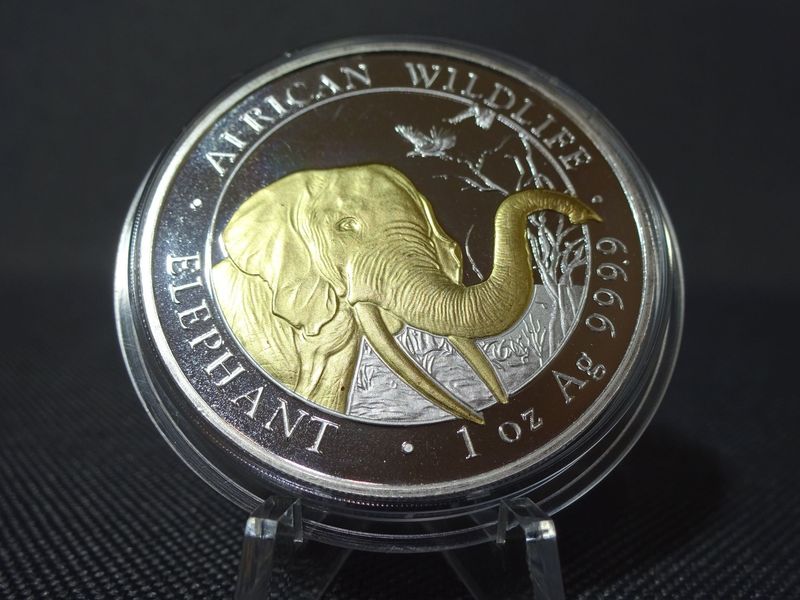 Silbermünze Somalia Elefant 2018 100 Shillings African Wildlife Gilded 1 Oz Unze Silbermünze Somalia Elefant 2018 100 Shillings African Wildlife Gilded 1 Oz Unze