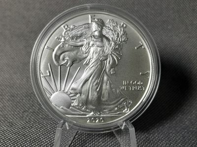 Silbermünze USA 2020 1 Dollar American Silver Eagle Walking Liberty 1 Oz Unze