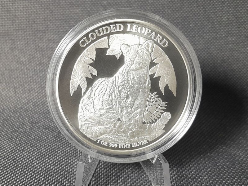 Silbermünze Kambodscha 2023 3000 Riels Clouded Leopard 1 Oz Unze