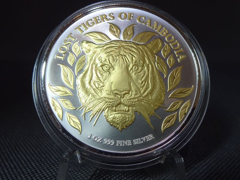 Silbermünze Kambodscha 2022 3000 Riels Lost Tigers Of Cambodia Tempel Gilded 1 Oz Unze