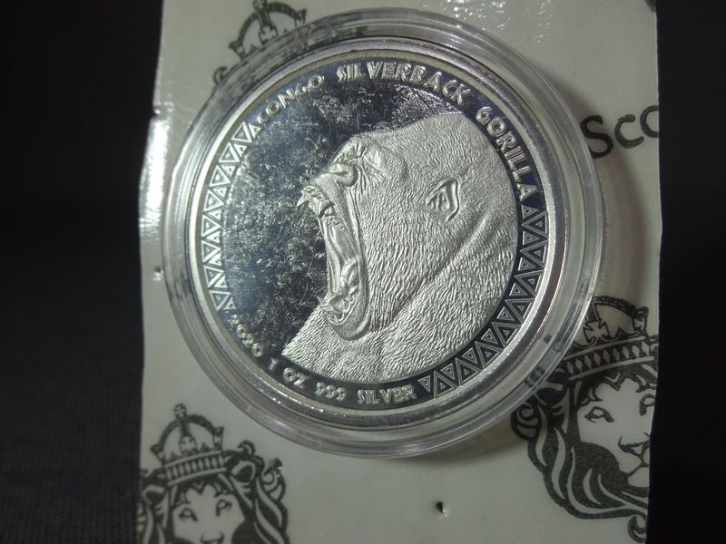 Silbermünze Kongo 2020 5000 Francs Silverback Gorilla Blister 1 Oz Unze