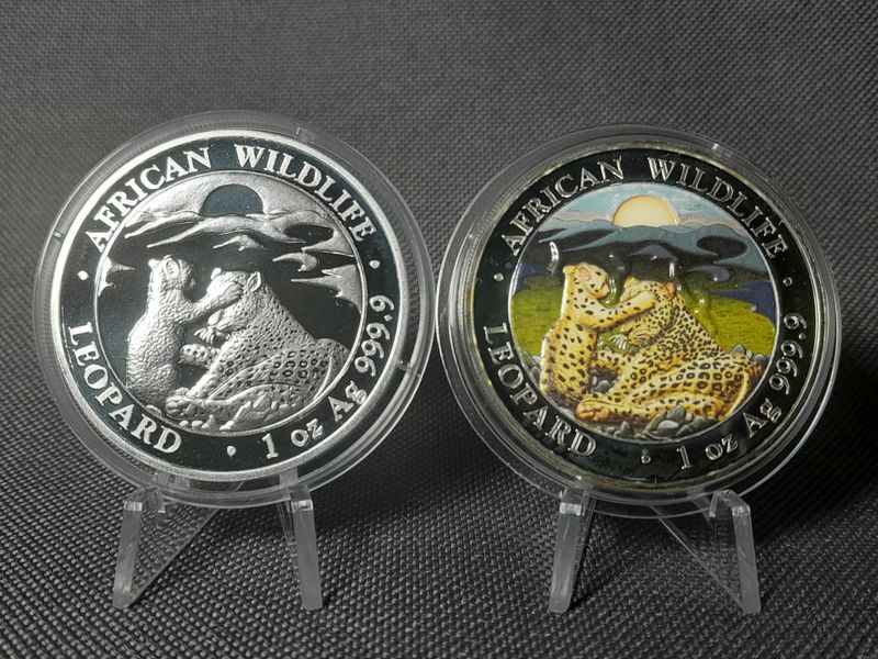 Silbermünzen Set Somalia Leopard 2019 100 Shillings African Wildlife Farbe Koloriert 1 Oz Unze Silbermünzen Set Somalia Leopard 2019 100 Shillings African Wildlife Farbe Koloriert 1 Oz Unze