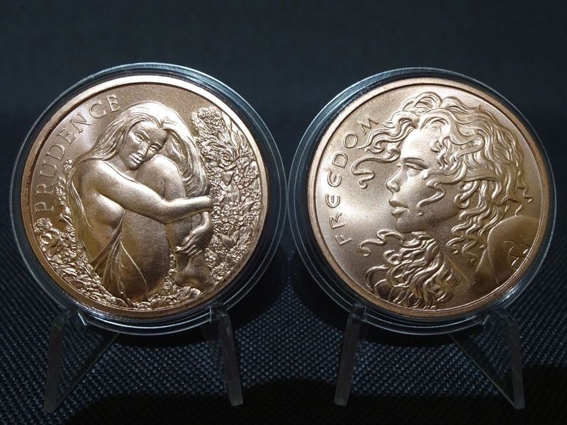 Kupfermedaillen Set USA 2019 2020 Prudence Freedom Girl Silver Shield 2x 1 Oz Unze