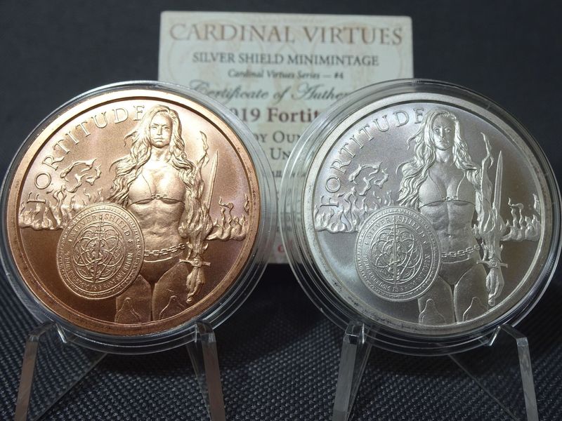 Silbermedaille Set USA 2019 Fortitude Energy Warrior Cardinal Virtues Power Girl Silver Shield Kupfermedaille 1 Oz Unze