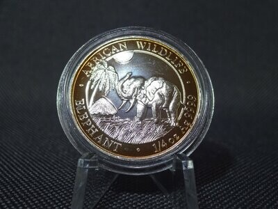 Silbermünze Somalia Elefant 2017 25 Shillings African Wildlife 1/4 Oz Unze Goldene Patina Silbermünze Somalia Elefant 2017 25 Shillings African Wildlife 1/4 Oz Unze Goldene Patina