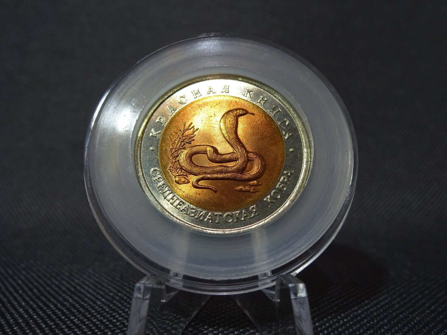 Münze Russland 1992 10 Rubel Mittelasiatische Kobra Rote Buch Tiere Münze Russland 1992 10 Rubel Mittelasiatische Kobra Rote Buch Tiere