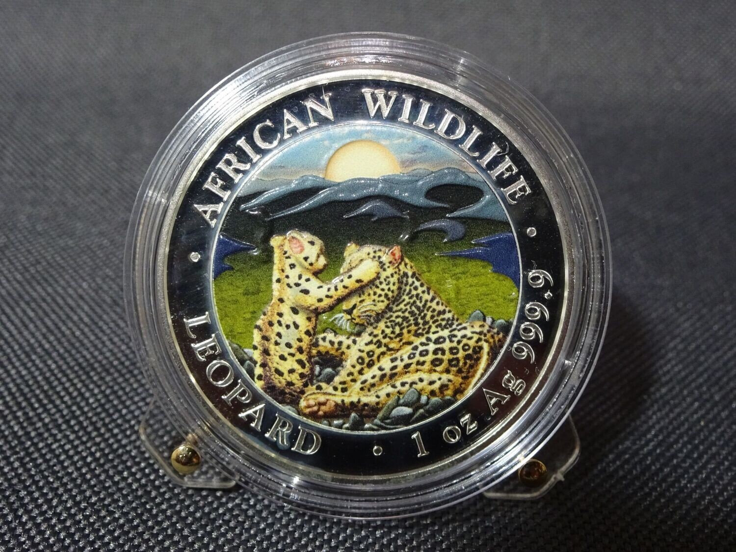 Silbermünze Somalia Leopard 2019 100 Shillings Wildlife Farbe 1 Oz Unze Silbermünze Somalia Leopard 2019 100 Shillings Wildlife Farbe 1 Oz Unze