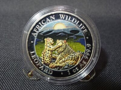 Silbermünze Somalia Leopard 2019 100 Shillings Wildlife Farbe 1 Oz Unze