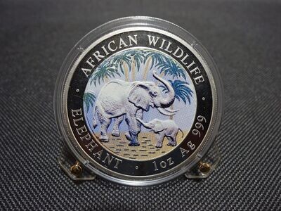 Silbermünze Somalia Elefant 2007 100 Shillings African Wildlife Farbe Koloriert 1 Oz Unze