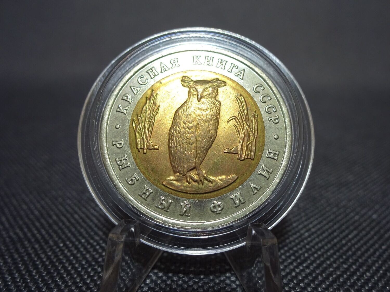 Münze Russland UdSSR CCCP 1991 5 Rubel Riesen Fischuhu Eule Rote Buch Tiere Münze Russland UdSSR CCCP 1991 5 Rubel Riesen Fischuhu Eule Rote Buch Tiere