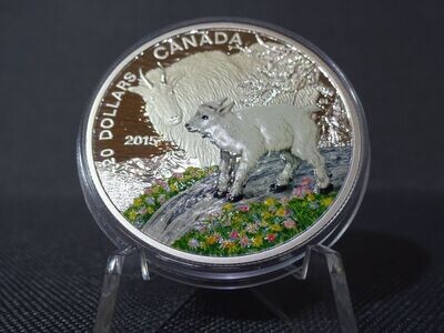 Silbermünze Kanada 2015 20 Dollars Bergziege Tierkinder Farbe PP Proof > 1 Oz Unze Silbermünze Kanada 2015 20 Dollars Bergziege Tierkinder Farbe PP Proof > 1 Oz Unze