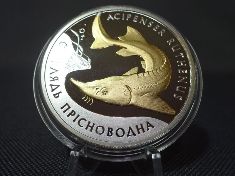 Silbermünze Ukraine 2012 10 Hrywen Sterlet Fisch Gilded PP Proof 1 Oz Unze Silbermünze Ukraine 2012 10 Hrywen Sterlet Fisch Gilded PP Proof 1 Oz Unze
