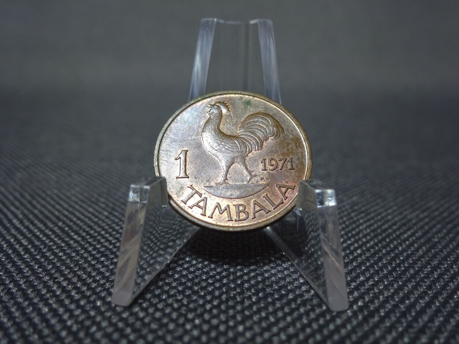 Münze Malawi 1971 1 Tambala Hahn