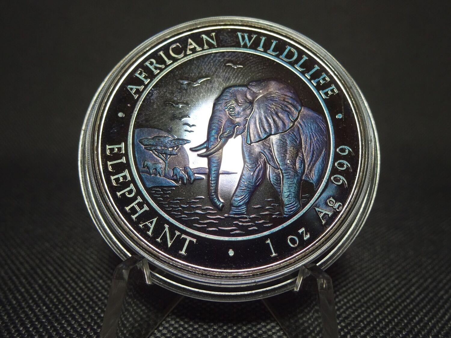 Silbermünze Somalia Elefant 2010 100 Shillings Wildlife Lila Tönung Farbe 1 Oz Unze