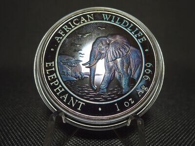 Silbermünze Somalia Elefant 2010 100 Shillings Wildlife Lila Tönung Farbe 1 Oz Unze Silbermünze Somalia Elefant 2010 100 Shillings Wildlife Lila Tönung Farbe 1 Oz Unze