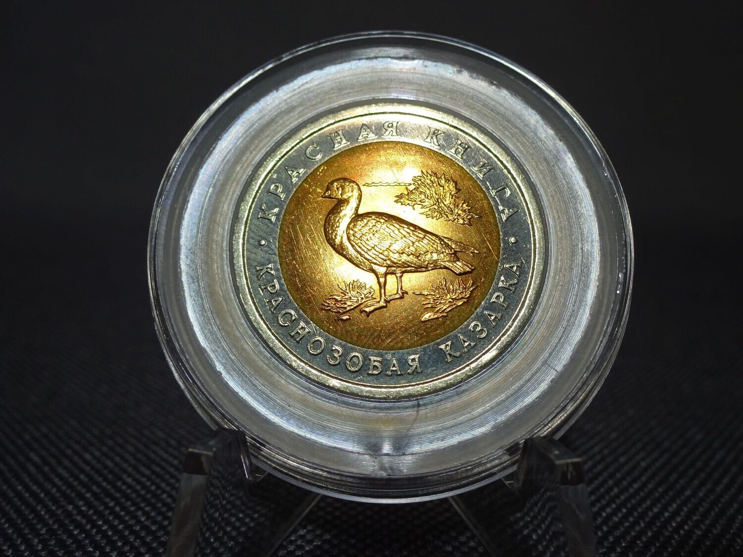 Münze Russland 1992 10 Rubel Rothalsgans Rote Buch Tiere Münze Russland 1992 10 Rubel Rothalsgans Rote Buch Tiere