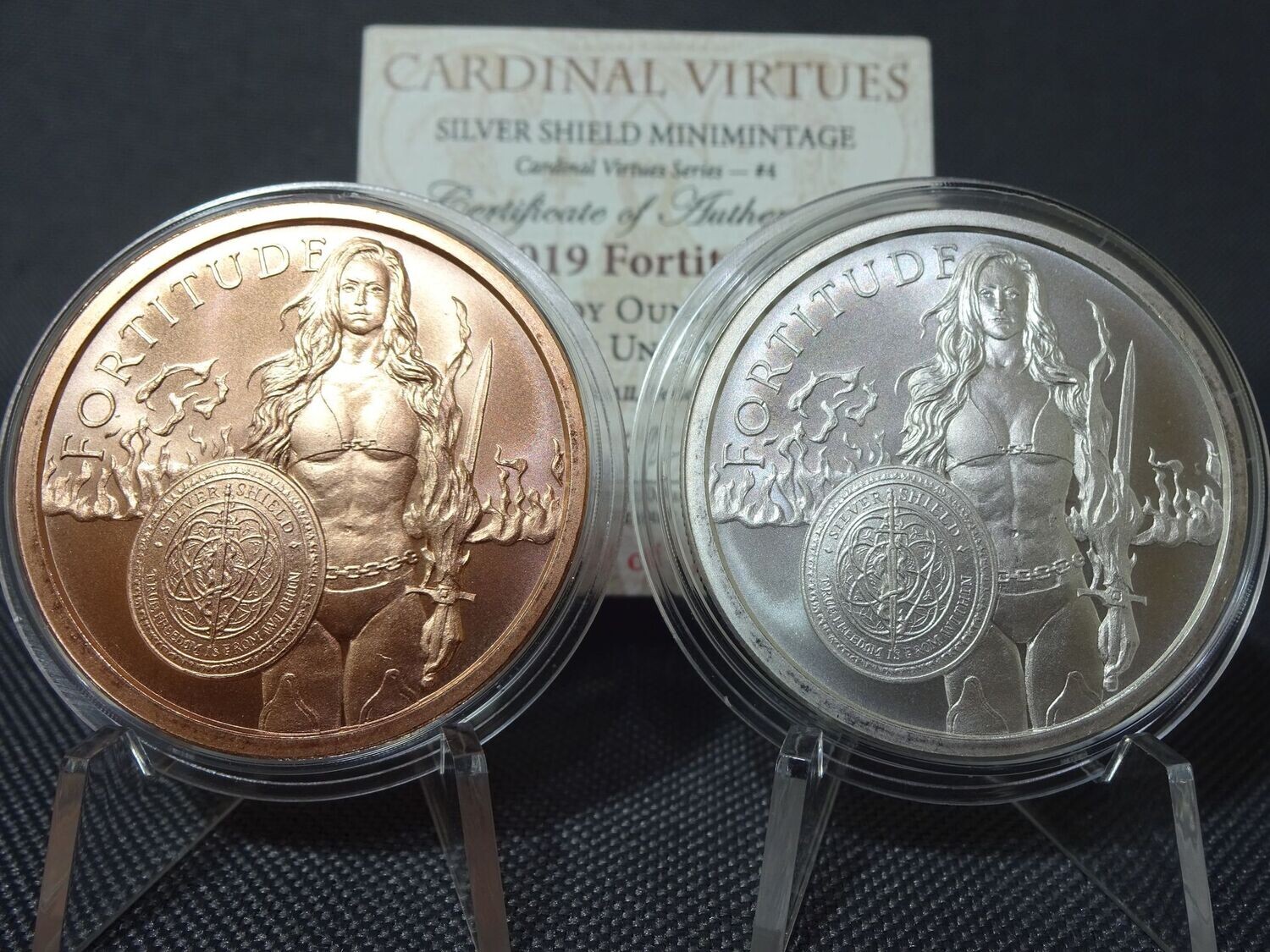 Silbermedaille Set USA 2019 Fortitude Warrior Girl Cardinal Virtues Silver Shield 1 Oz Unze