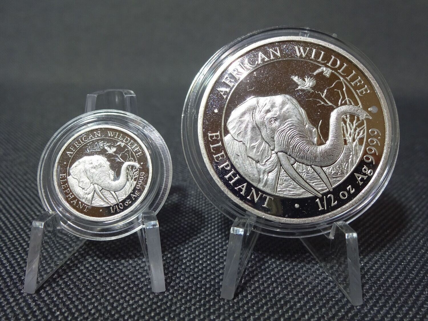 Silbermünzen Set Somalia Elefant 2018 African Wildlife 1/10 1/2 Oz Unze Selten
