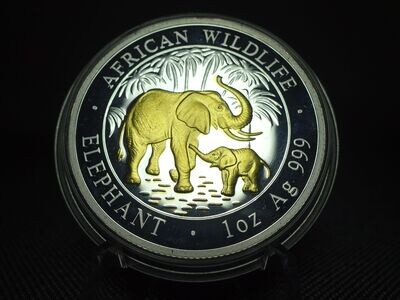 Silbermünze Somalia Elefant 2007 100 Shillings African Wildlife Gilded 1 Oz Unze