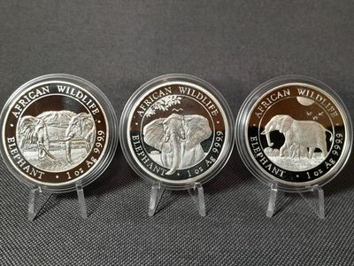 Silbermünzen Set Somalia Elefant 2020 2021 2022 100 Shillings Wildlife 1 Oz Unze Silbermünzen Set Somalia Elefant 2020 2021 2022 100 Shillings Wildlife 1 Oz Unze