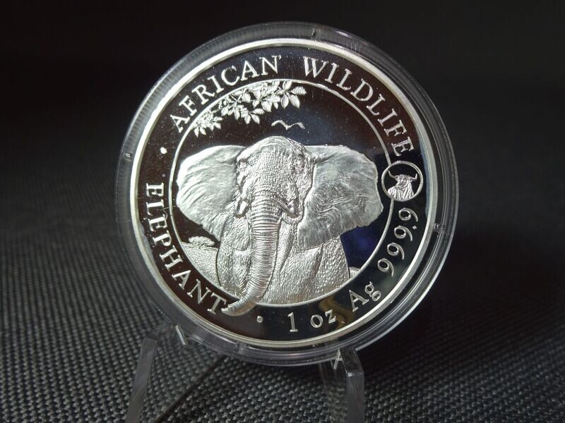 Silbermünze Somalia Elefant 2021 100 Shillings Wildlife Privy Mark Ochse 1 Oz Unze Silbermünze Somalia Elefant 2021 100 Shillings Wildlife Privy Mark Ochse 1 Oz Unze