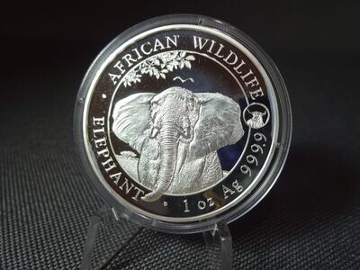 Silbermünze Somalia Elefant 2021 100 Shillings Wildlife Privy Mark Ochse 1 Oz Unze Silbermünze Somalia Elefant 2021 100 Shillings Wildlife Privy Mark Ochse 1 Oz Unze