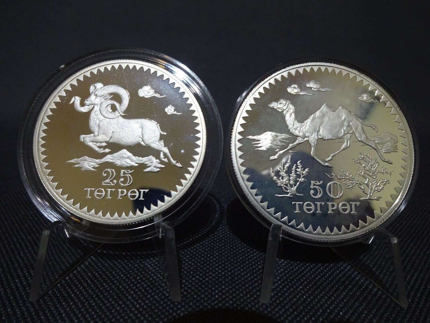Silbermünzen Set 1976 Mongolei 25 50 Tögrög Argali Wildschaf Kamel Wildlife WWF Naturschutz PP Proof Silbermünzen Set 1976 Mongolei 25 50 Tögrög Argali Wildschaf Kamel Wildlife WWF Naturschutz PP Proof