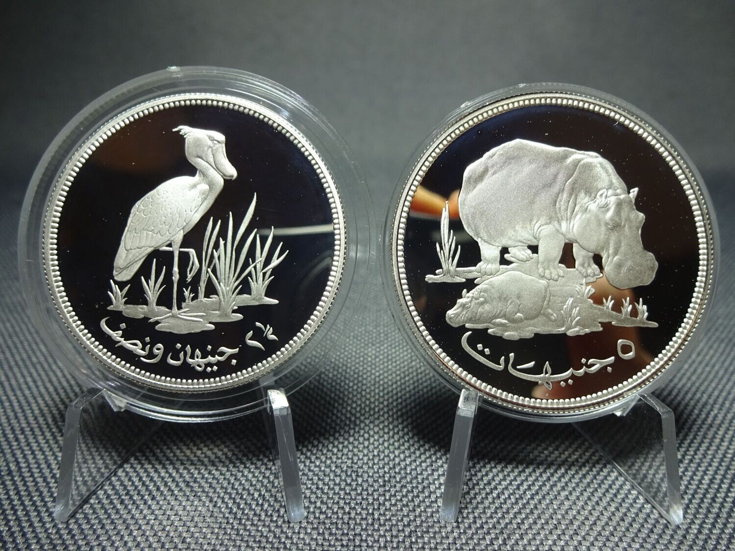 Silbermünzen Set 1976 Sudan 2,5 5 Pounds Schuhschnabel Nilpferd Naturschutz Wildlife WWF PP Proof Silbermünzen Set 1976 Sudan 2,5 5 Pounds Schuhschnabel Nilpferd Naturschutz Wildlife WWF PP Proof