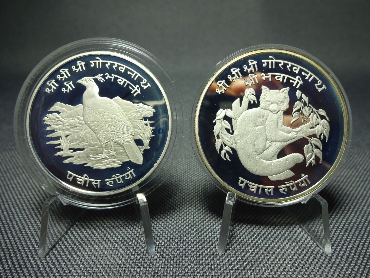 Silbermünzen Set Nepal 1974 25 50 Rupien Himalaya Glanzfasan Roter Panda Naturschutz Wildlife WWF PP Proof