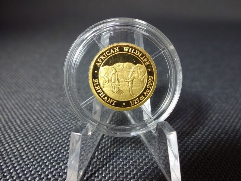 Goldmünze Somalia Elefant 2020 50 Shillings African Wildlife 1/25 Oz Unze Goldmünze Somalia Elefant 2020 50 Shillings African Wildlife 1/25 Oz Unze